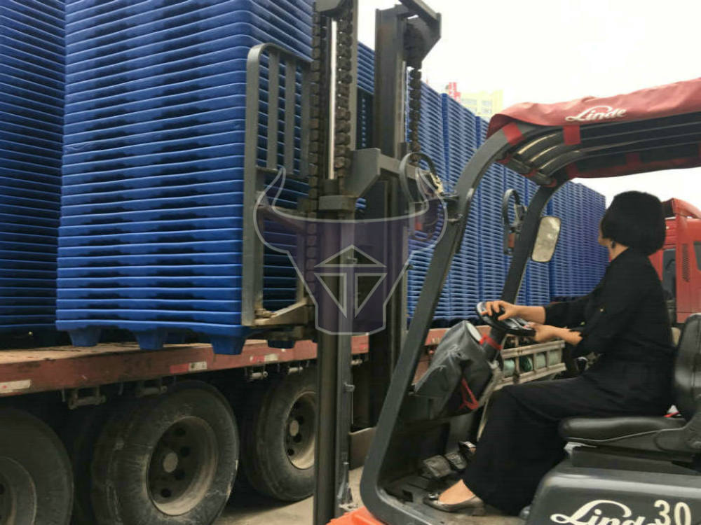 货物塑料托盘二手价格，批发价，专业二手托盘批发供应